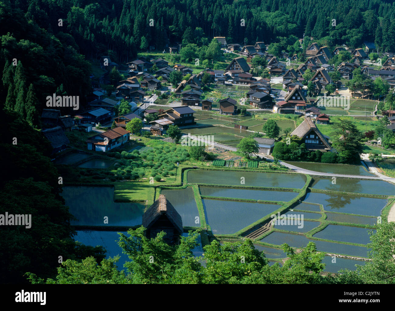 Village et du riz paddy à Shirakawa-go, Shirakawa, Ono, Gifu, Japon Banque D'Images