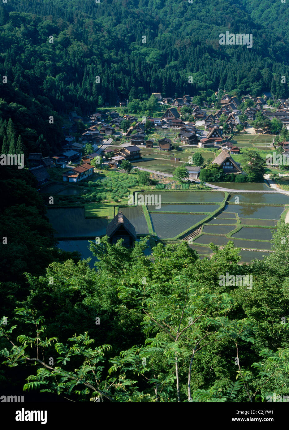 Village et du riz paddy à Shirakawa-go, Shirakawa, Ono, Gifu, Japon Banque D'Images