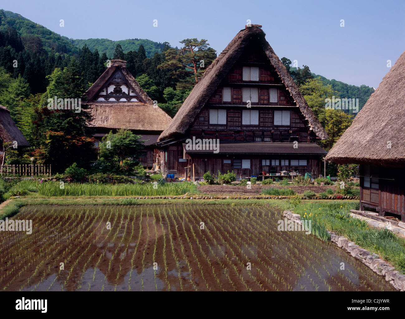 Village et du riz paddy à Shirakawa-go, Shirakawa, Ono, Gifu, Japon Banque D'Images