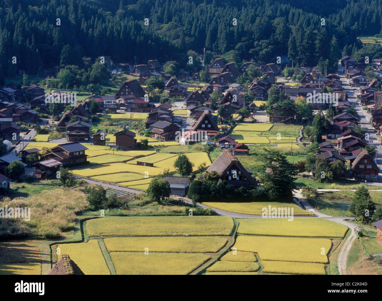 Village et du riz paddy à Shirakawa-go, Shirakawa, Ono, Gifu, Japon Banque D'Images