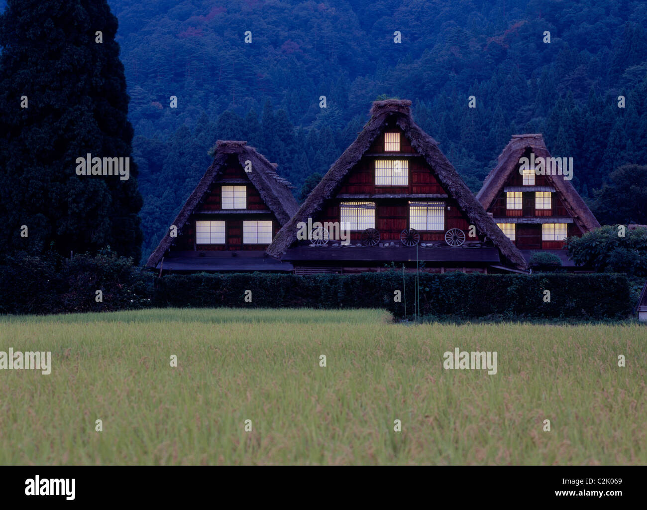 Gîte rural et le riz paddy à Shirakawa-go, Shirakawa, Ono, Gifu, Japon Banque D'Images