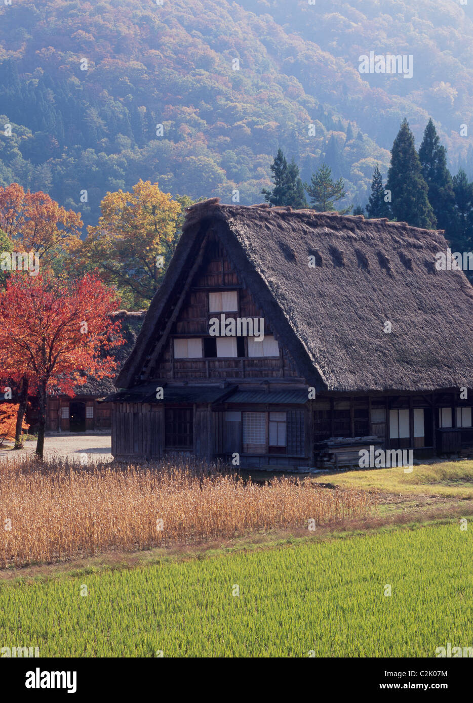 Maison de ferme et les feuilles d'automne à Shirakawa-go, Shirakawa, Ono, Gifu, Japon Banque D'Images