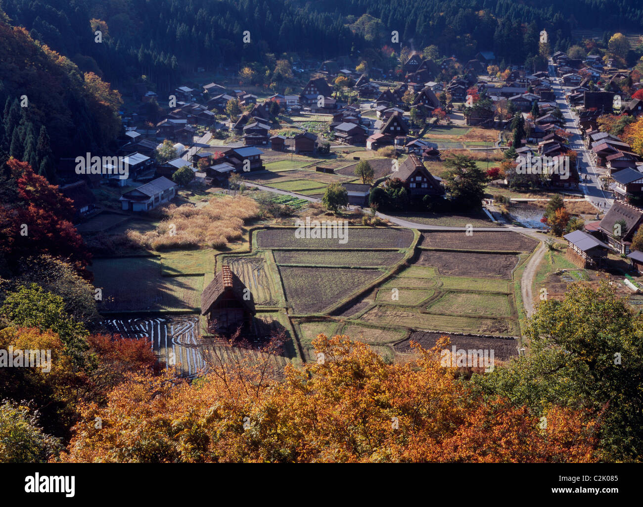 Village et du riz paddy à Shirakawa-go, Shirakawa, Ono, Gifu, Japon Banque D'Images