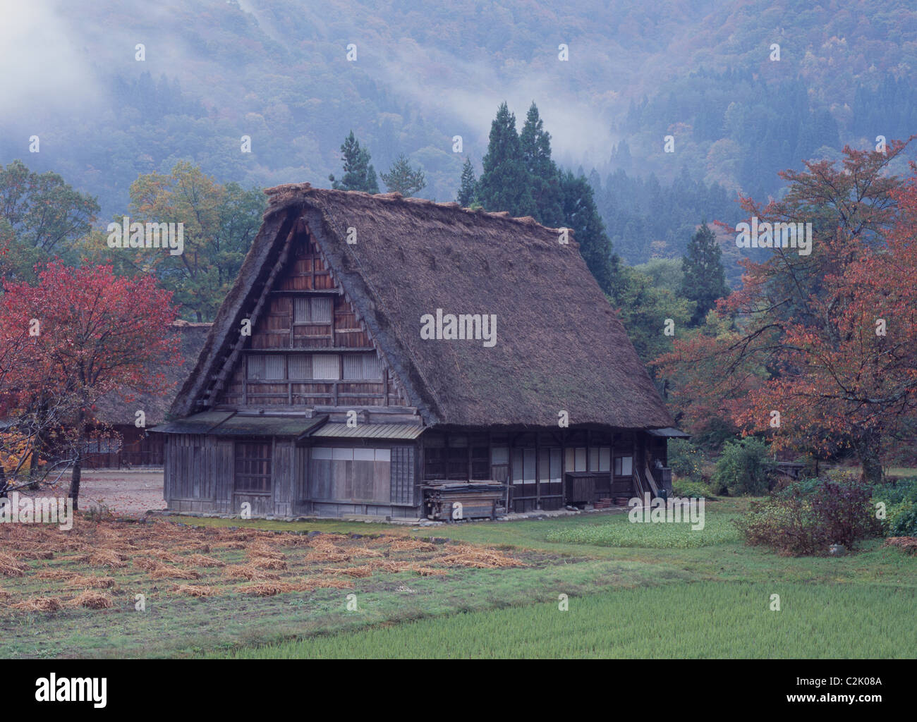 Maison de ferme et les feuilles d'automne à Shirakawa-go, Shirakawa, Ono, Gifu, Japon Banque D'Images