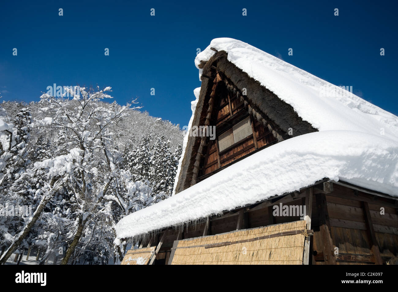 Snowscape de Shirakawa-go, Shirakawa, Ono, Gifu, Japon Banque D'Images