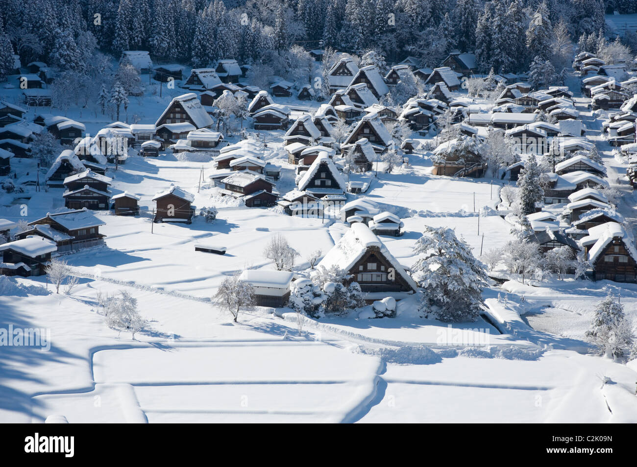 Snowscape de Shirakawa-go, Shirakawa, Ono, Gifu, Japon Banque D'Images