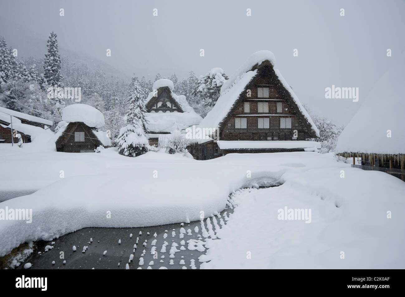 Snowscape de Shirakawa-go, Shirakawa, Ono, Gifu, Japon Banque D'Images