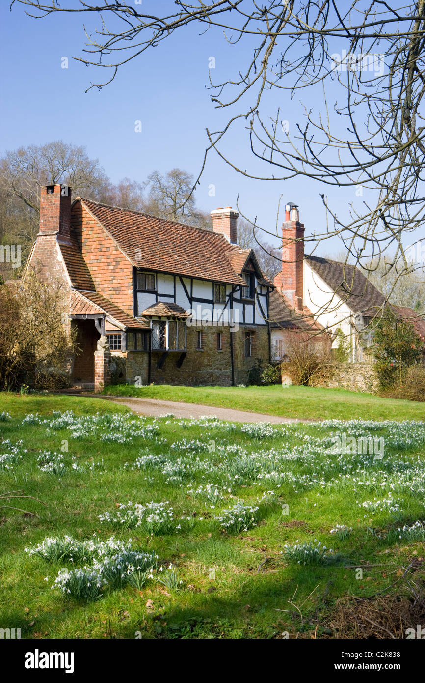 Cottage à proximité de Dorking, Surrey, UK avec les perce-neige Banque D'Images