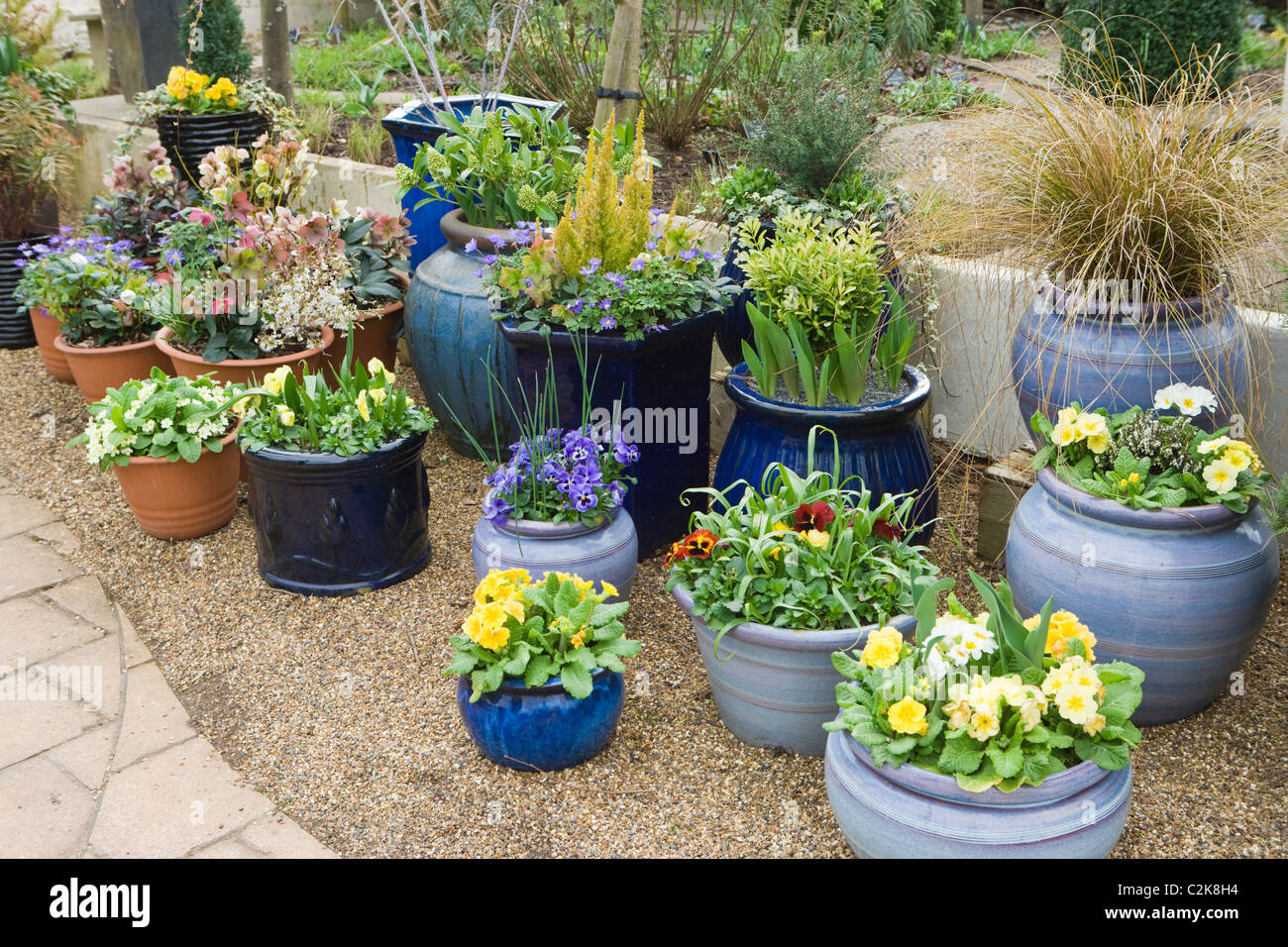 Plantes en pots, Jardin Wisley, Surrey, UK Banque D'Images