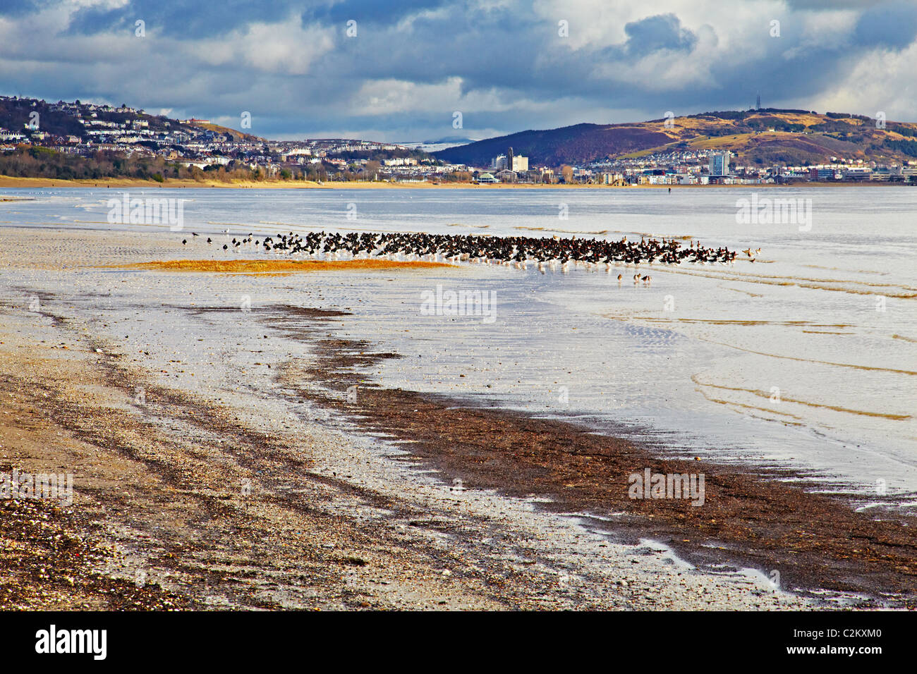 La Baie de Swansea, Pays de Galles, Swansea Banque D'Images