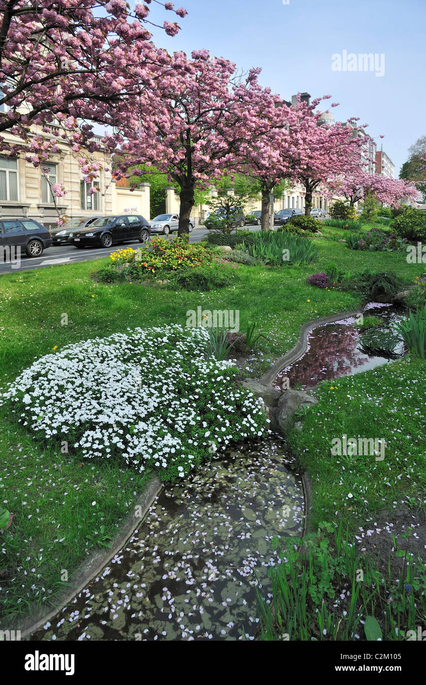 Large bande médiane / centrale de réservation qui a été faite dans un jardin de la ville de Gand, Belgique Banque D'Images