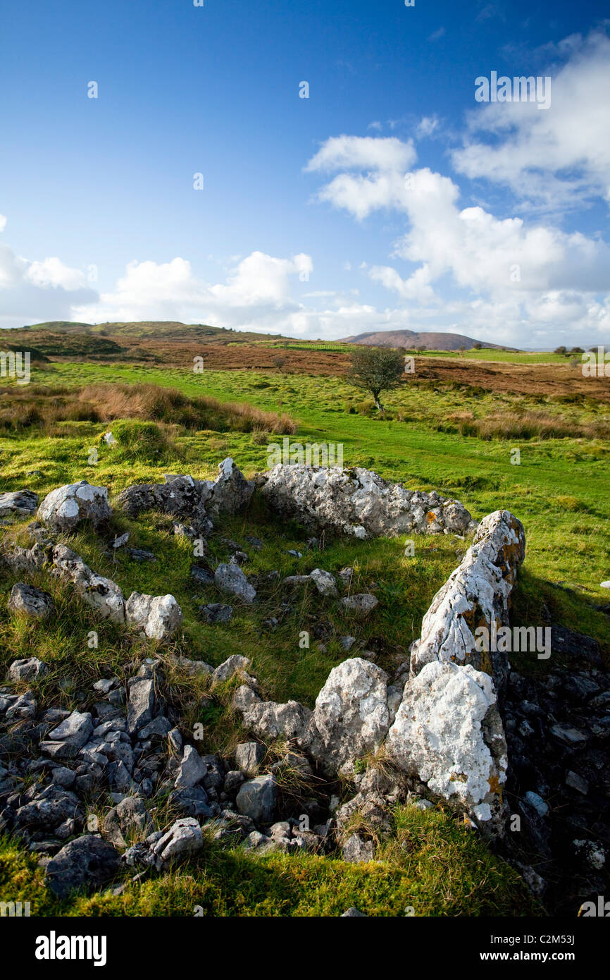 Tombe mégalithique sur la boucle à pied, Tullyskeherny County Leitrim, Ireland. Banque D'Images