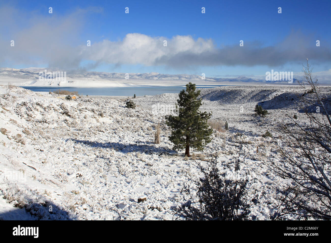 Lac MONO DANS LA NEIGE LEE VINING USA 10 novembre 2010 Banque D'Images