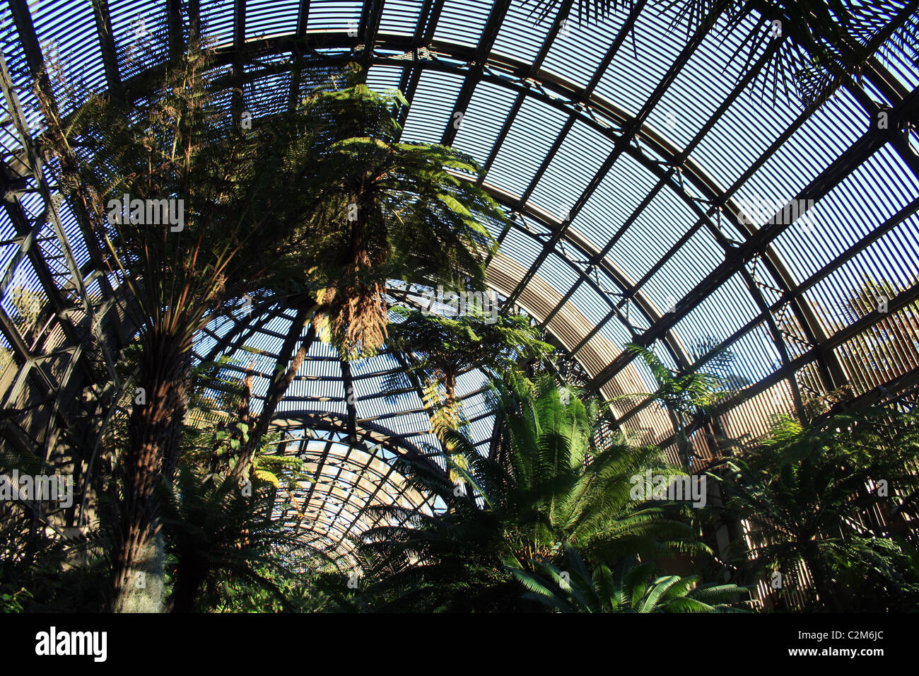 Le Jardin botanique de l'intérieur du bâtiment le Balboa Park, SAN DIEGO USA 10 décembre 2010 Banque D'Images