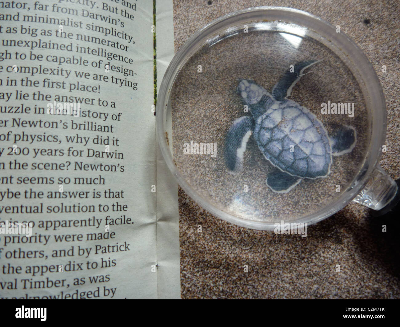 La littérature scientifique, l'origine des espèces Banque D'Images