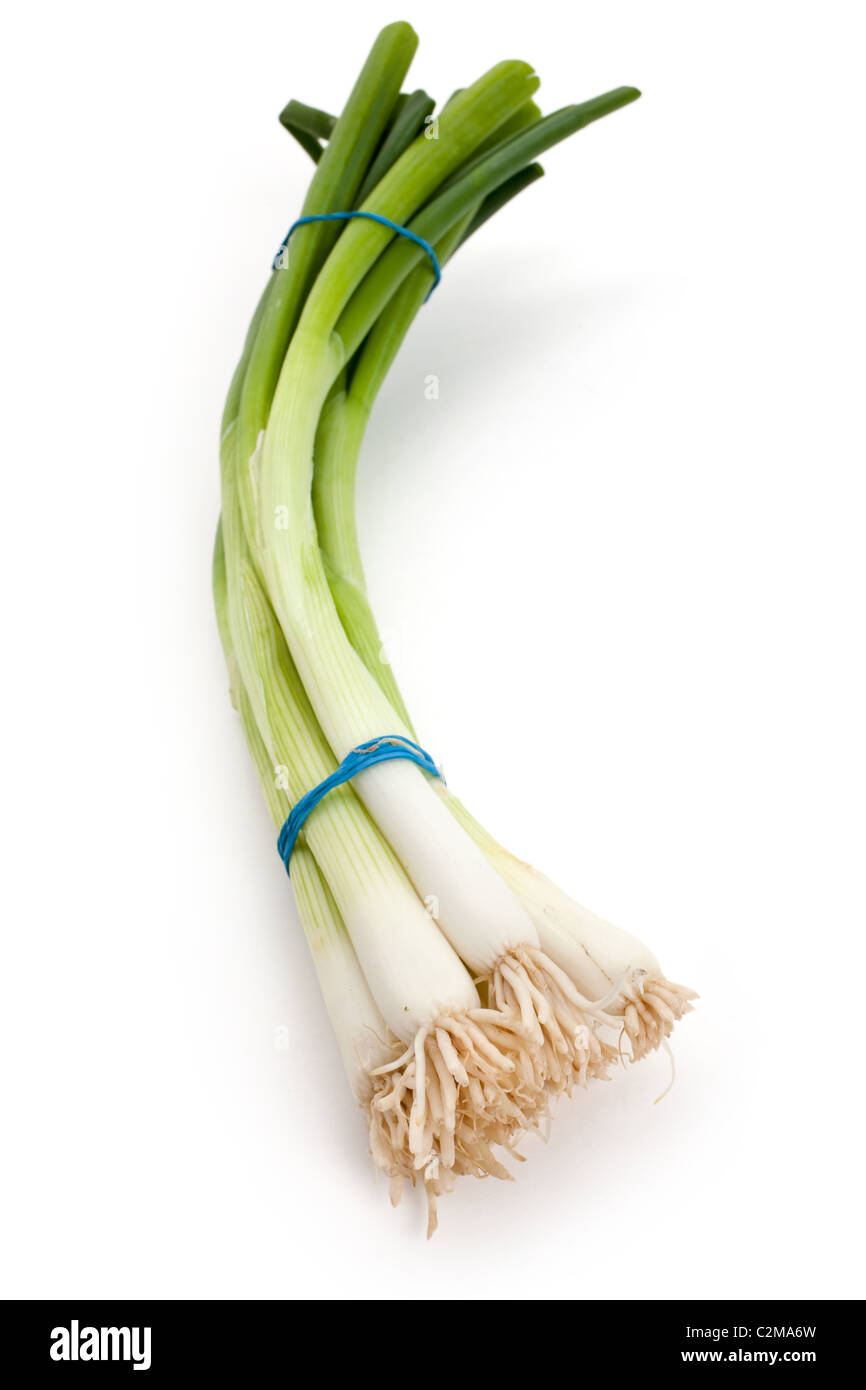Oignon vert avec fond blanc Banque D'Images