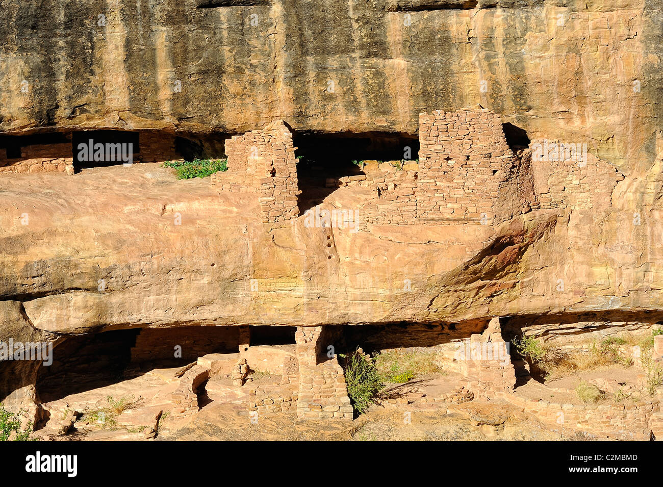 Fire temple house, falaise, demeure dans le Parc National de Mesa Verde Banque D'Images