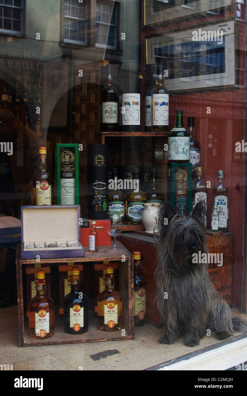 Vitrine, le Royal Mile, Édimbourg. Banque D'Images