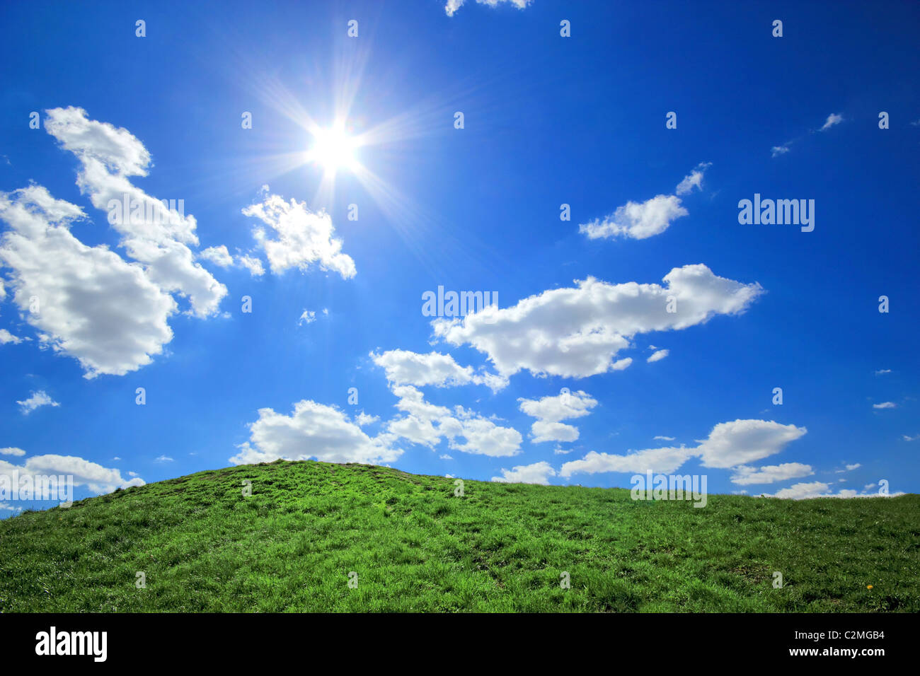 Green grass hills sous le soleil dans le ciel bleu. Banque D'Images