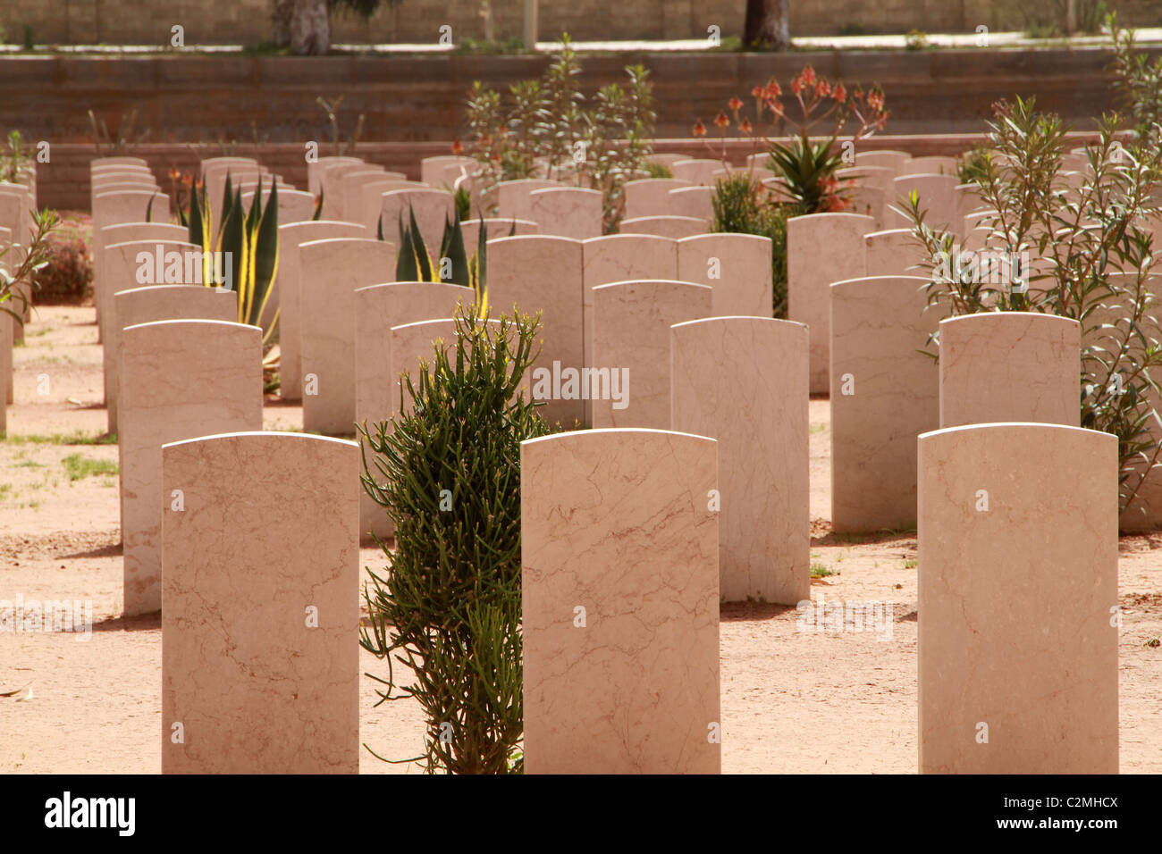 Le cimetière de guerre de Benghazi, l'Est de la Libye. Banque D'Images