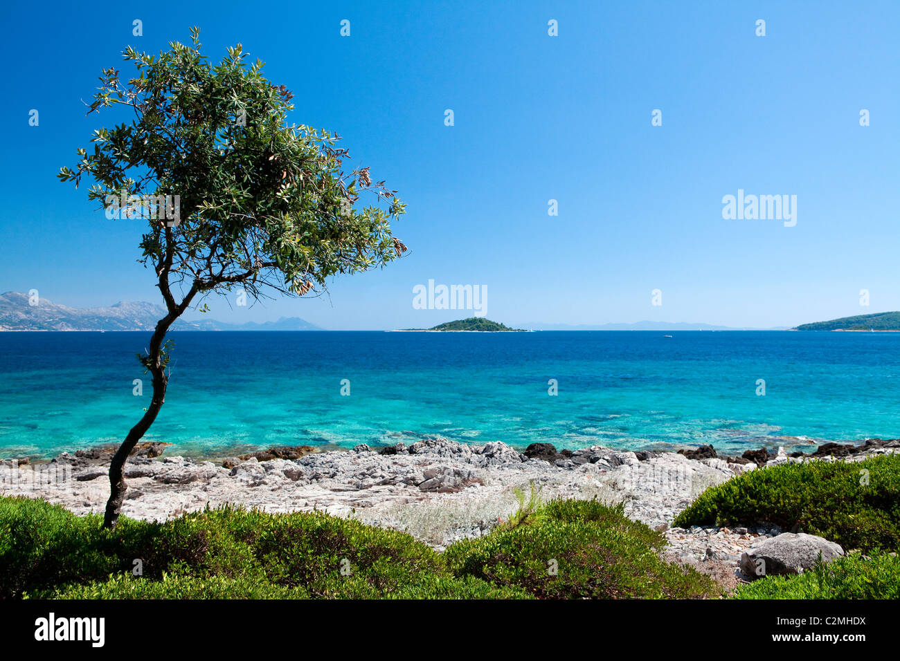 L'île de Korkula à Badija (Croatie). Banque D'Images