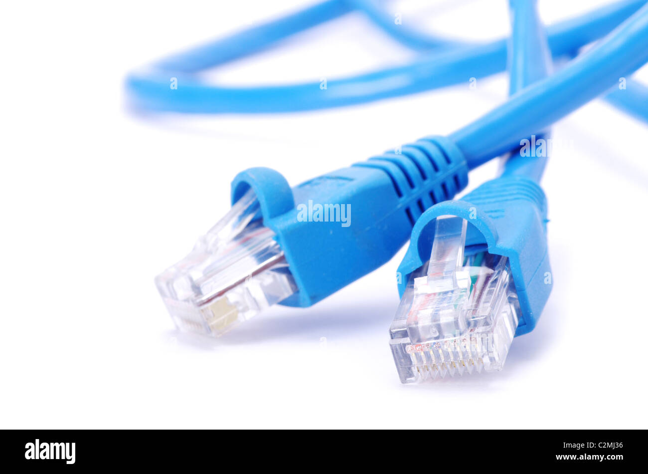 Plan Macro sur le bouchon de la connexion réseau Banque D'Images