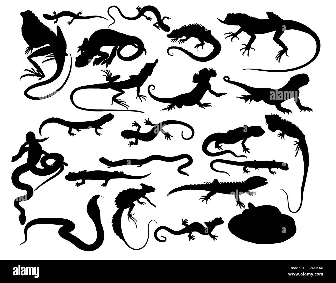 Grande collection de reptiles vector isolated on white Banque D'Images