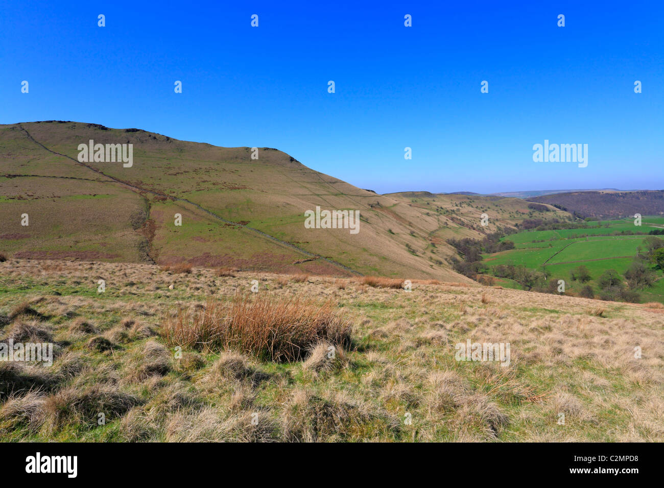 La famine, le Hayfield, montage, Derbyshire Peak District National Park, Angleterre, Royaume-Uni. Banque D'Images