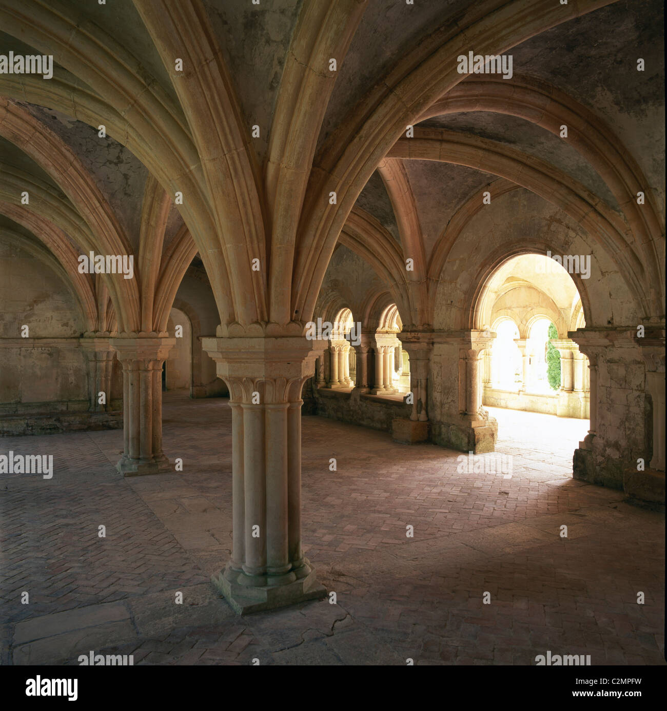 Abbaye de Fontenay - Chapitre ou roomBurgundy du conseil intérieur de France showng plafond voûté. Banque D'Images