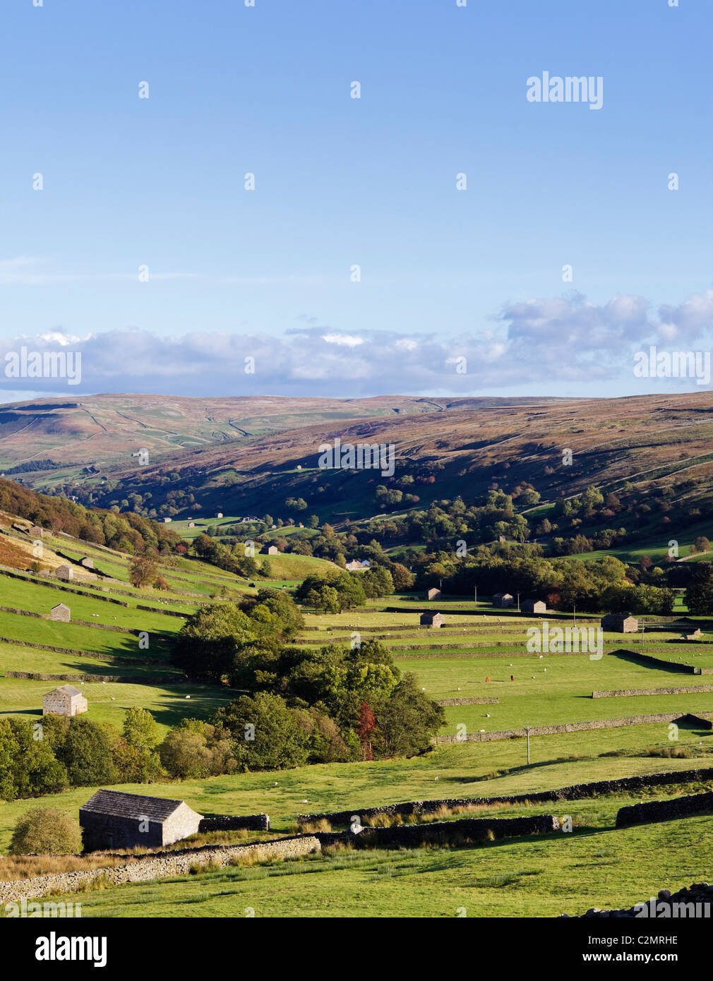 Swaledale, Yorkshire, Angleterre, Royaume-Uni Banque D'Images