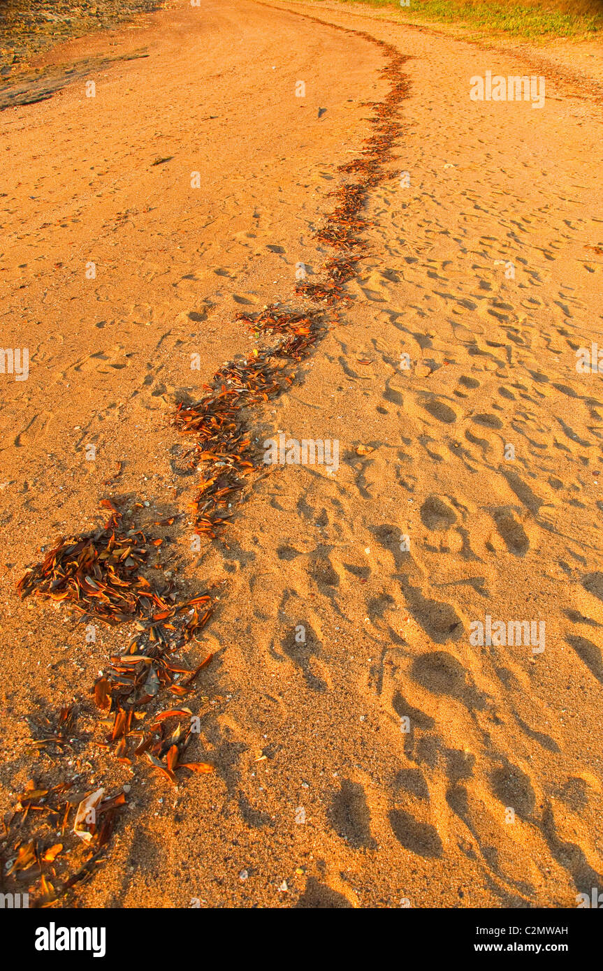 Sable rouge sur la plage de Darwin, Australie Banque D'Images