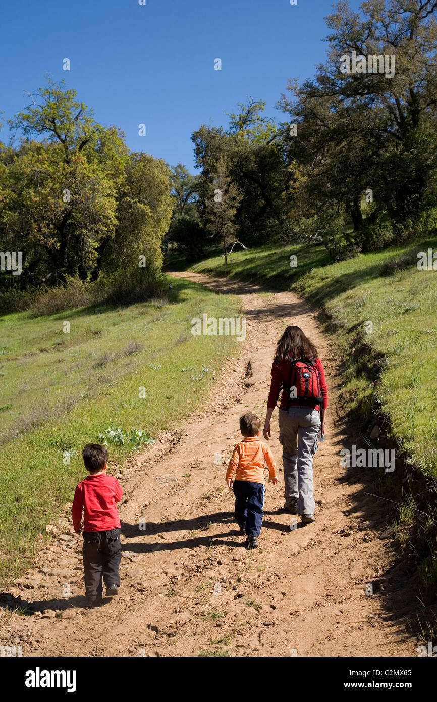 La mère et les deux fils, 3 et 4 ans, randonnées, Santa Ysabel Espace Ouvert, le comté de San Diego, Californie Banque D'Images