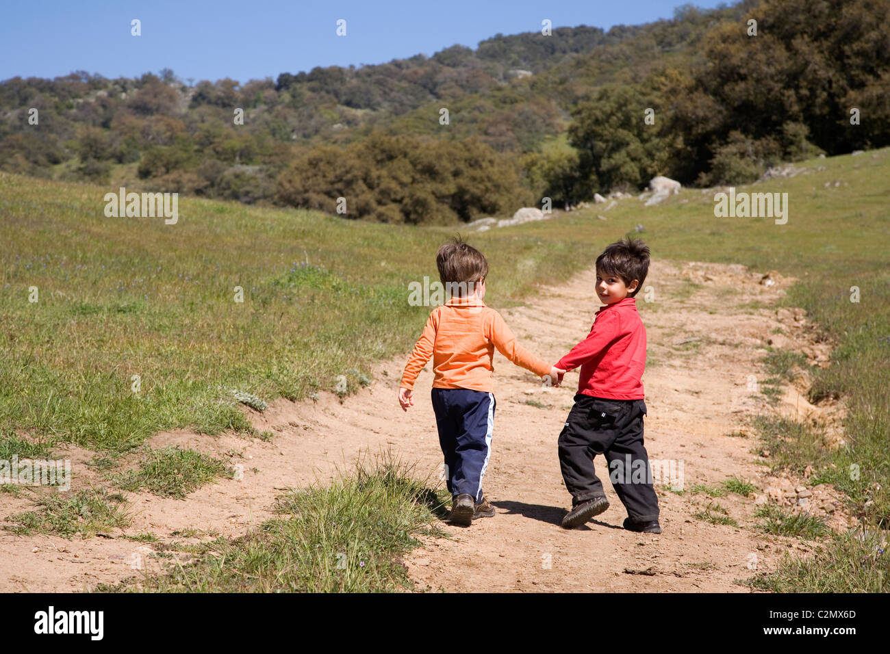 Deux frères sur un sentier de randonnée, 3 et 4 ans, Santa Ysabel Espace Ouvert, le comté de San Diego, Californie (MR) Banque D'Images