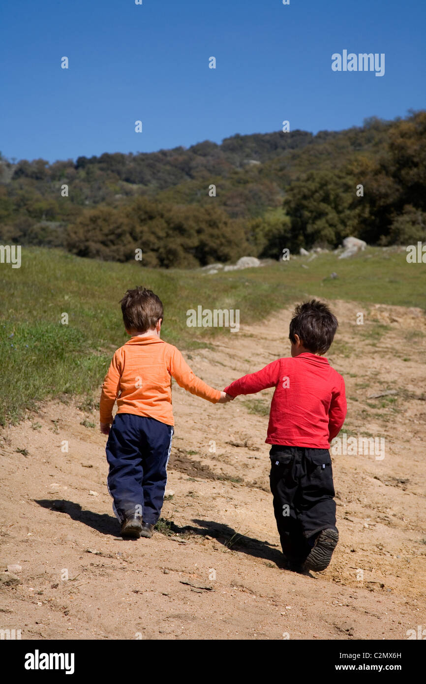 Deux frères sur un sentier de randonnée, 3 et 4 ans, Santa Ysabel Espace Ouvert, le comté de San Diego, Californie (MR) Banque D'Images