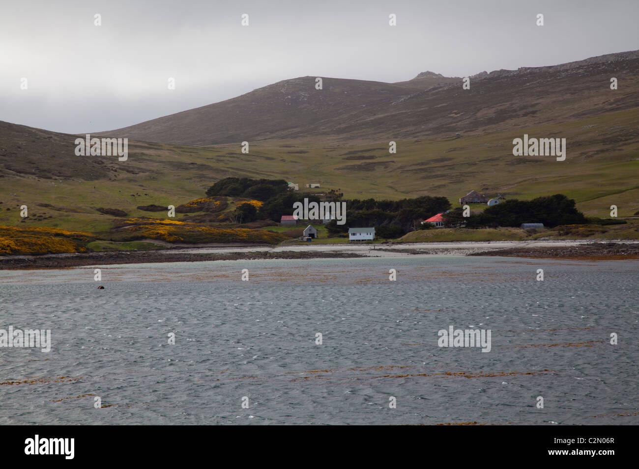 La petite colonie sur l'île de la carcasse, West Falkland Banque D'Images