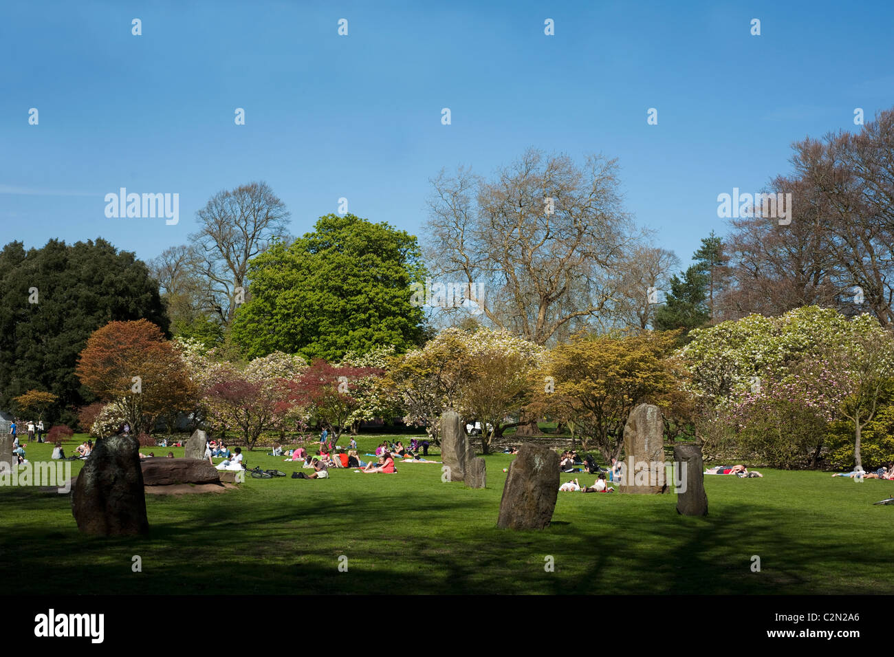 Les gens se détendre dans Cardiff Bute Park sur une journée de printemps ensoleillée près de la Gorsedd Stone Circle, South Wales, Royaume-Uni Banque D'Images