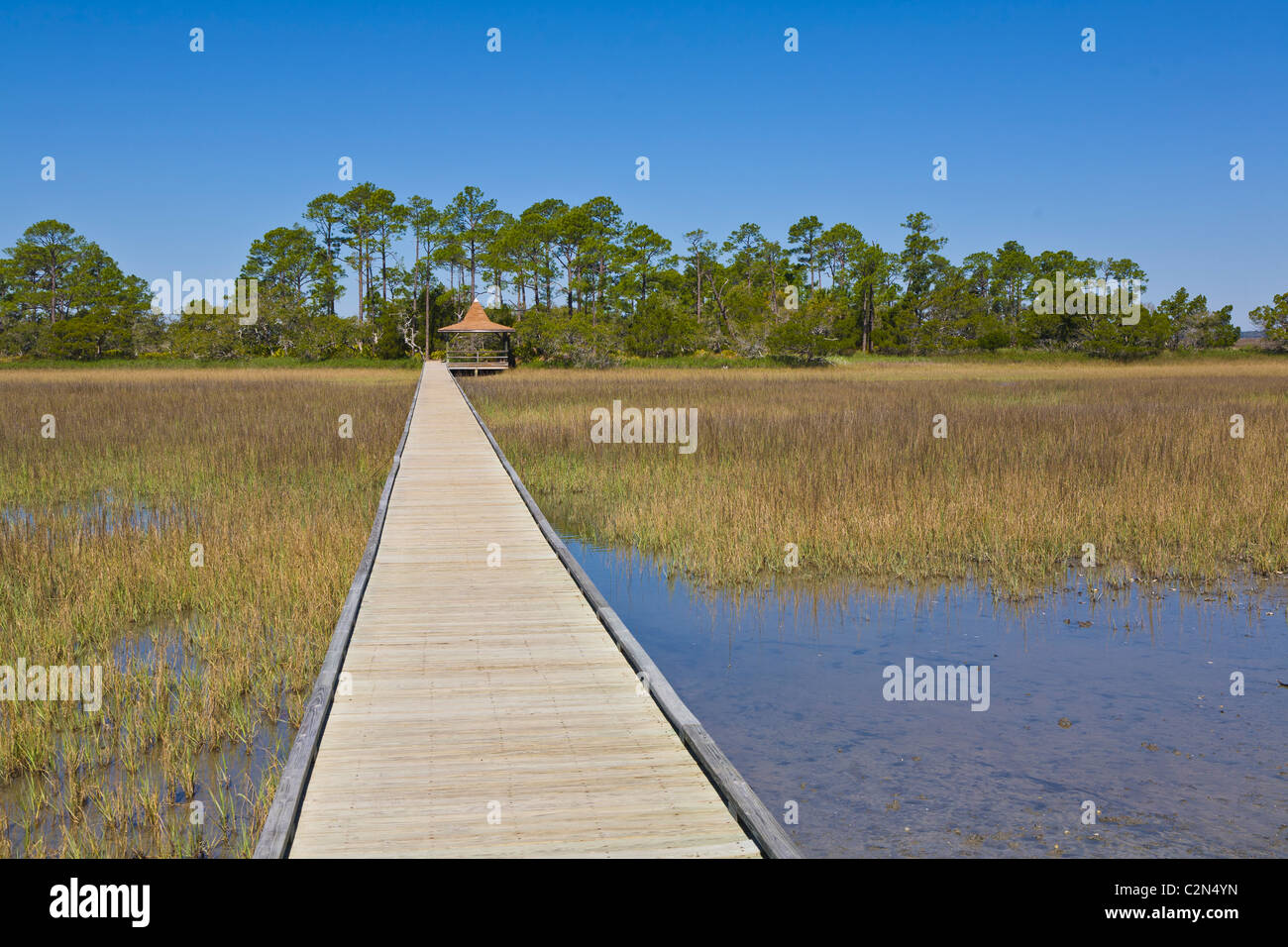 La promenade du marais dans la chasse Island State Park dans la région de Beaufort, Caroline du Sud Banque D'Images