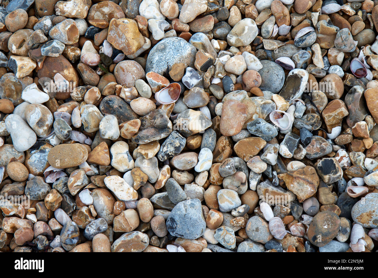 Les galets et les cailloux sur une plage Banque D'Images