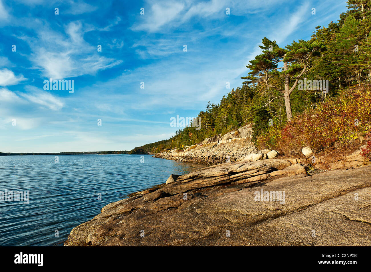 Somes Sound scenic, Mount Desert Island, Maine, USA Banque D'Images