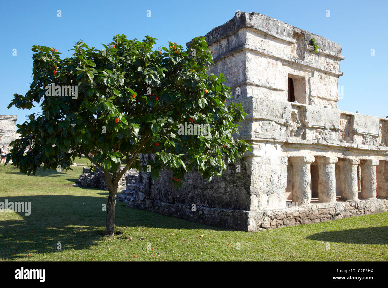 Les ruines de Tulum Tulum Quintana Roo Mexique Banque D'Images