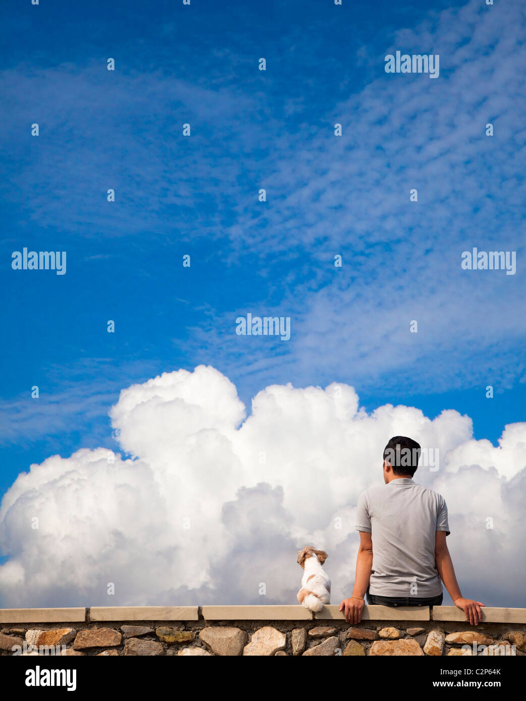 Homme assis avec chien et regarder le nuage de l'été Banque D'Images