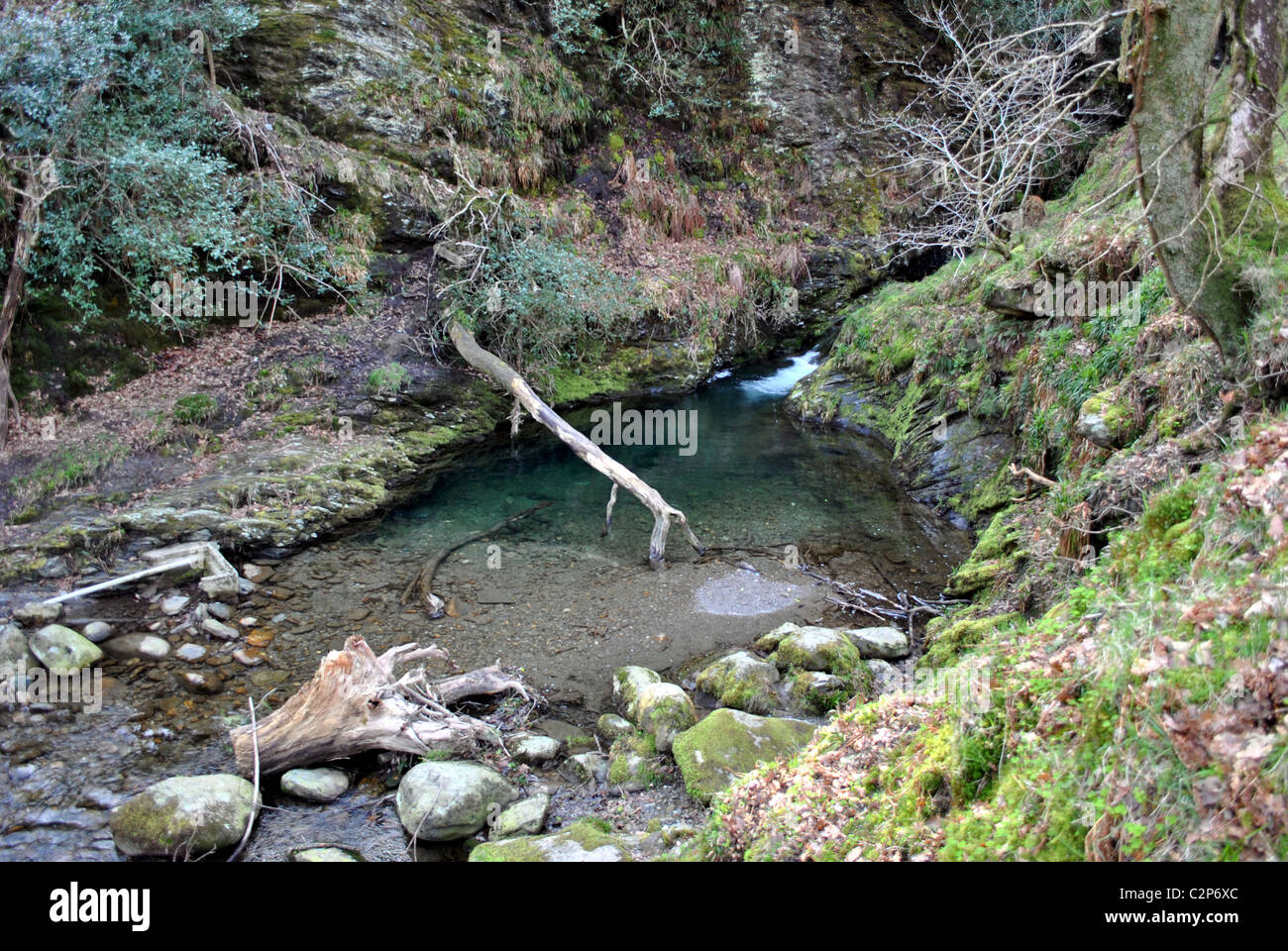 L'eau de source fraîche Piscine rock à Wicklow Irlande Banque D'Images