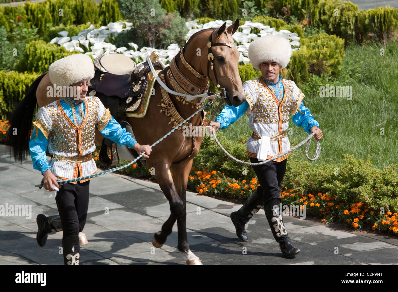 Un cheval est Téké Ahal ont défilé sur les Chevaux turkmènes, jour Turkmenstan Banque D'Images