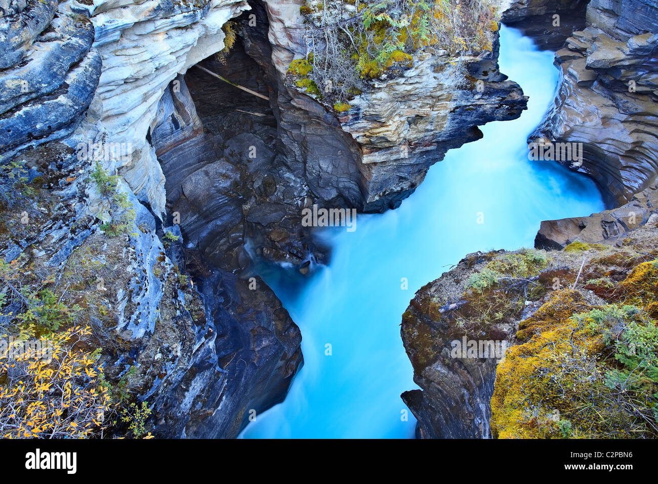 Athabasca River at the falls, Jasper National Park, Alberta, Canada. Banque D'Images