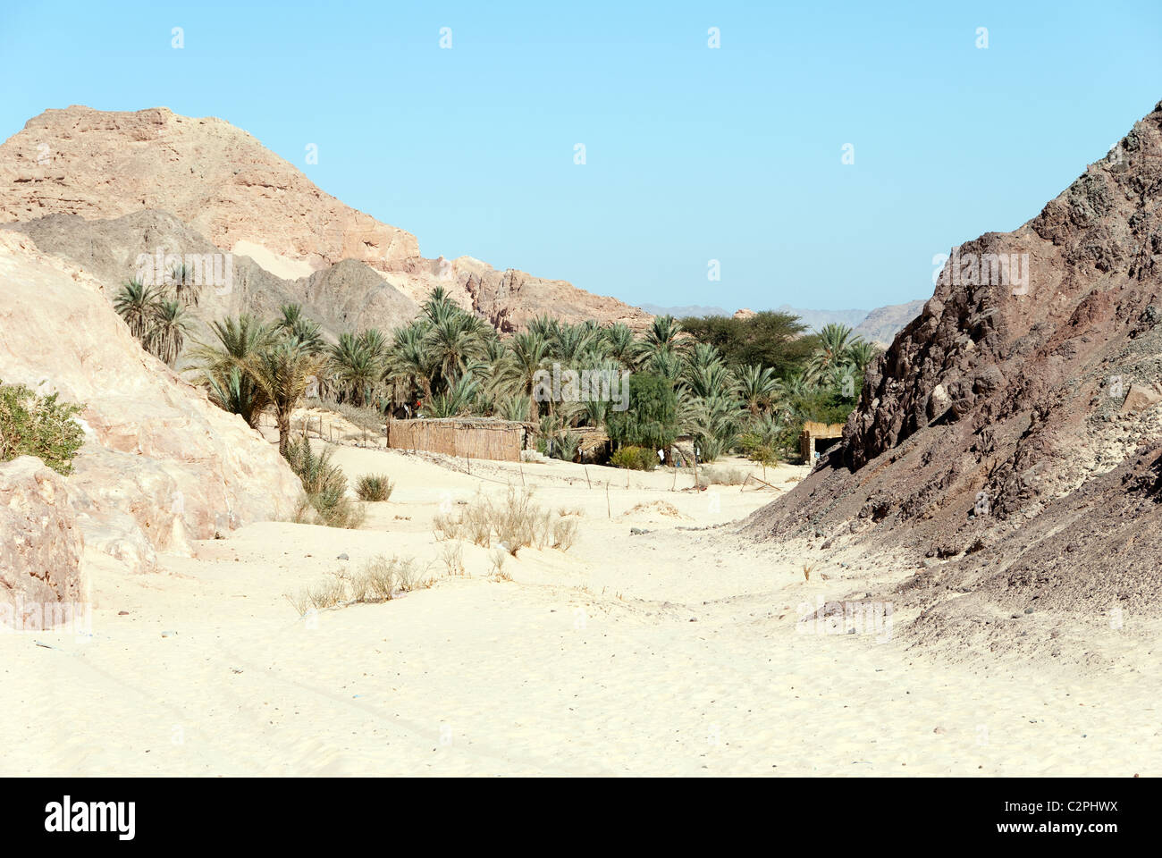 Ein Khoudra Oasis - péninsule du Sinaï, Égypte Banque D'Images