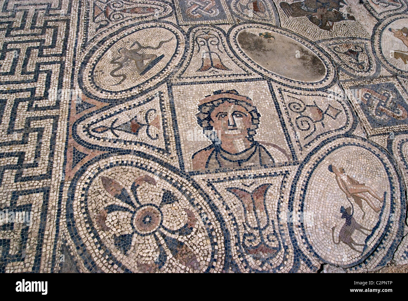 Travaux d'Hercule, Mosaic House, numide, site romain de Volubilis, près de Meknes, Maroc Banque D'Images