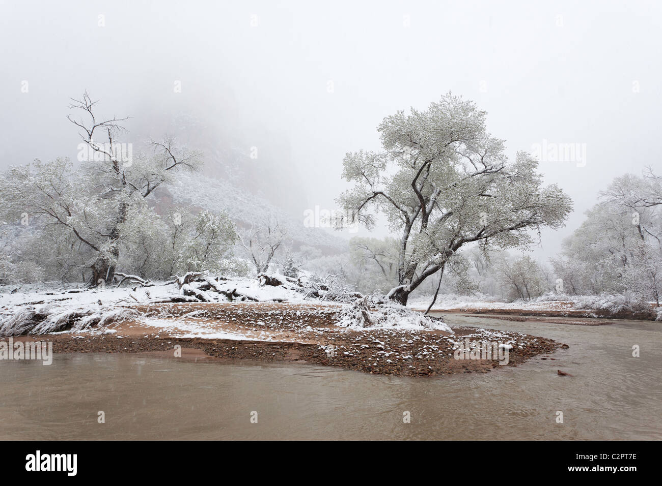 Compte tenu de l'hiver à Virgin River Canyon Zion (Utah, USA) Banque D'Images