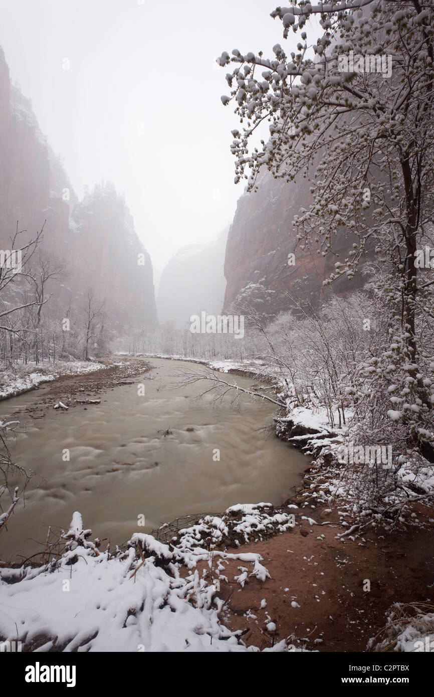 Vue d'hiver de Virgin River dans la région de Zion National Park, Utah (USA) Banque D'Images