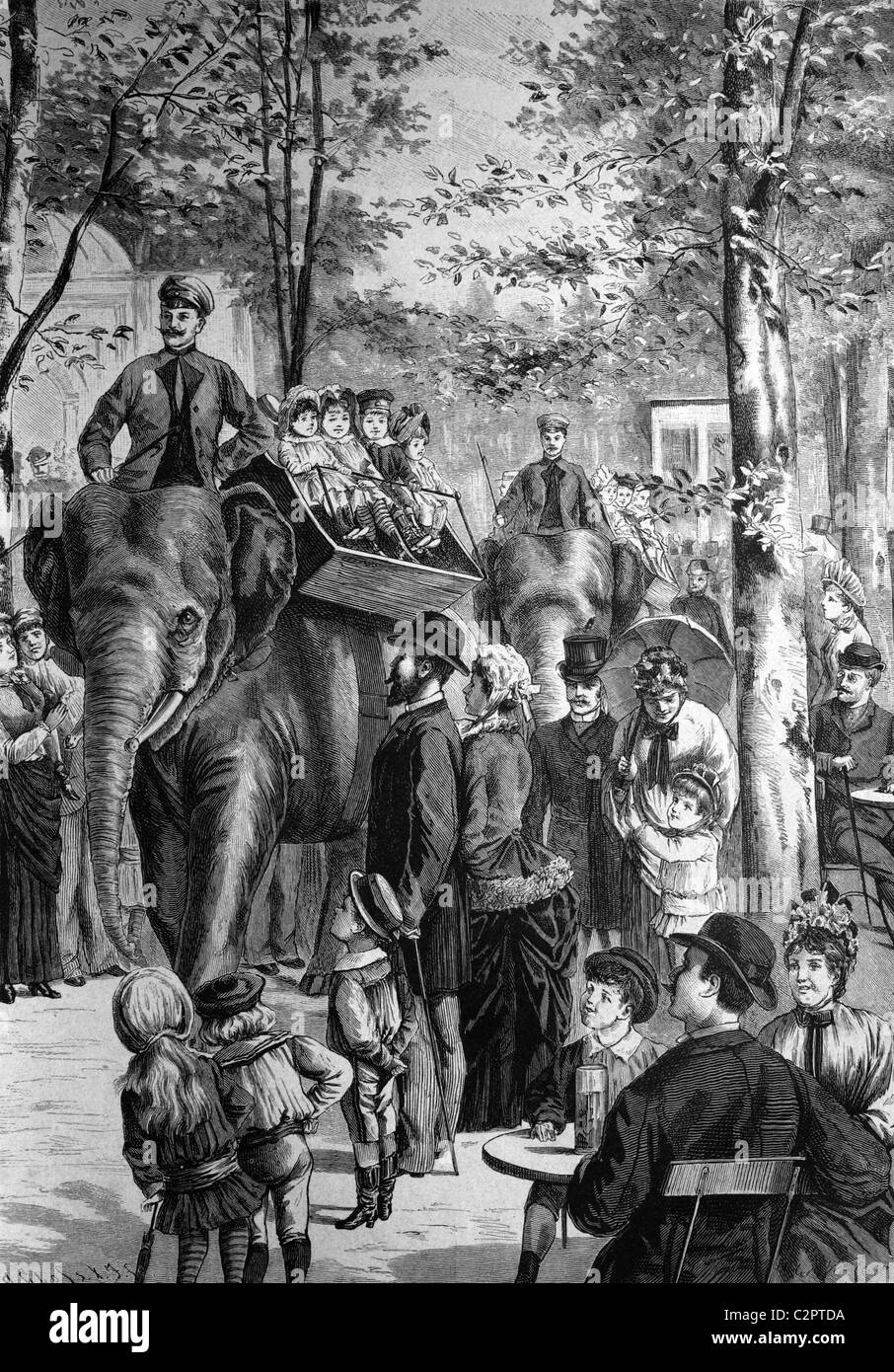 Tour d'éléphant dans le zoo de Berlin, Berlin, Allemagne, illustration historique, vers 1886 Banque D'Images