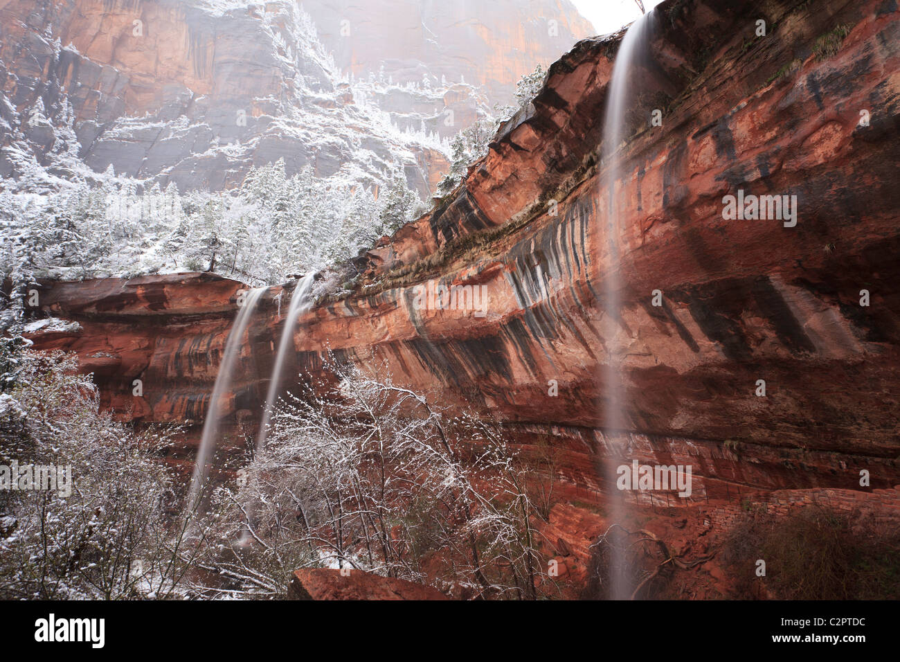 Emerald Falls inférieur à Zion Canyon lors d'une tempête de neige Banque D'Images